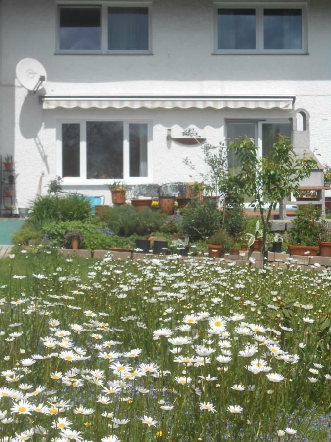 Ferienwohnung Casa Mia Spiegelau Exteriör bild